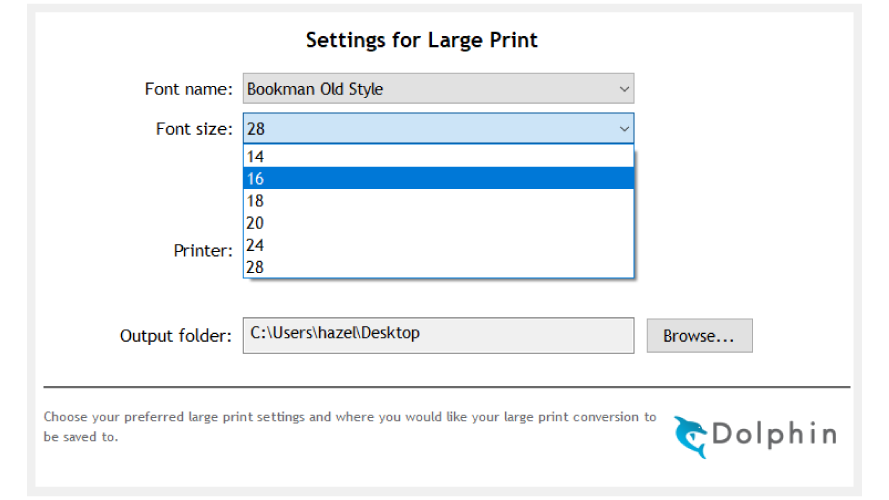 Screenshot showing settings for converting into a Large Print Document.